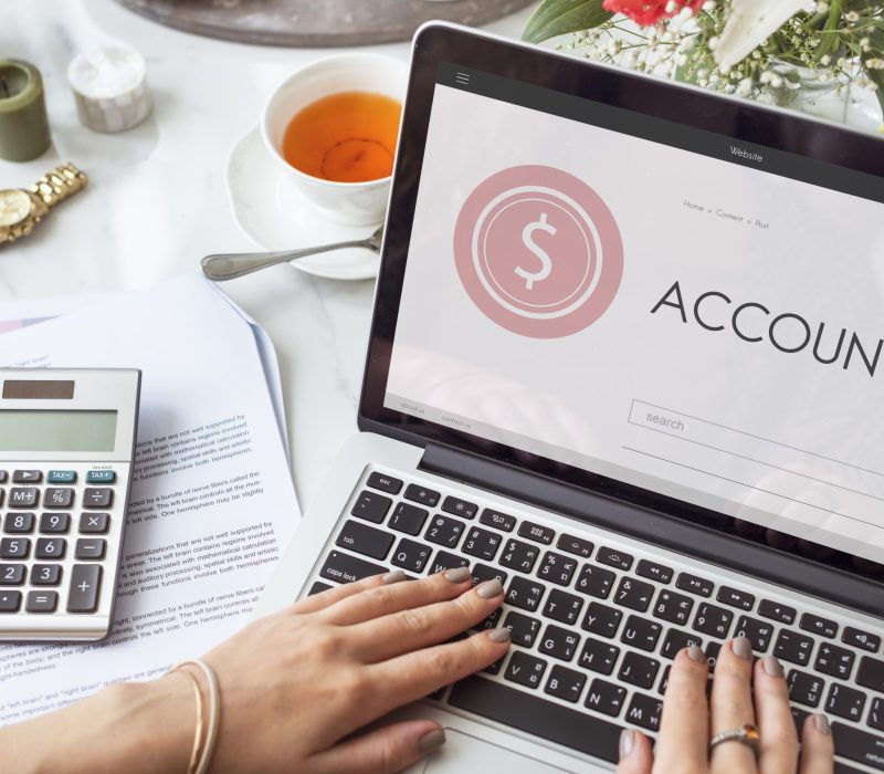 Shopping Banking Accounting Webpage Text Search Concept